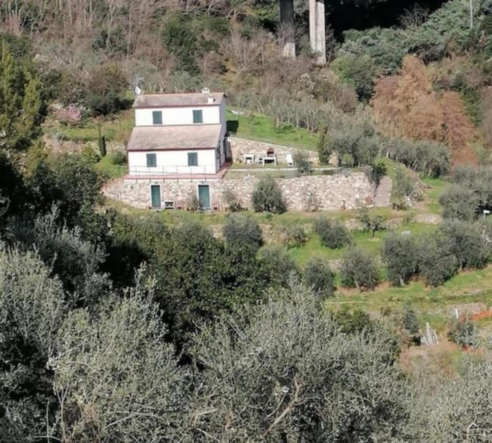Villa Teca & Succo - Nature E Relax Sestri Levante Luaran gambar