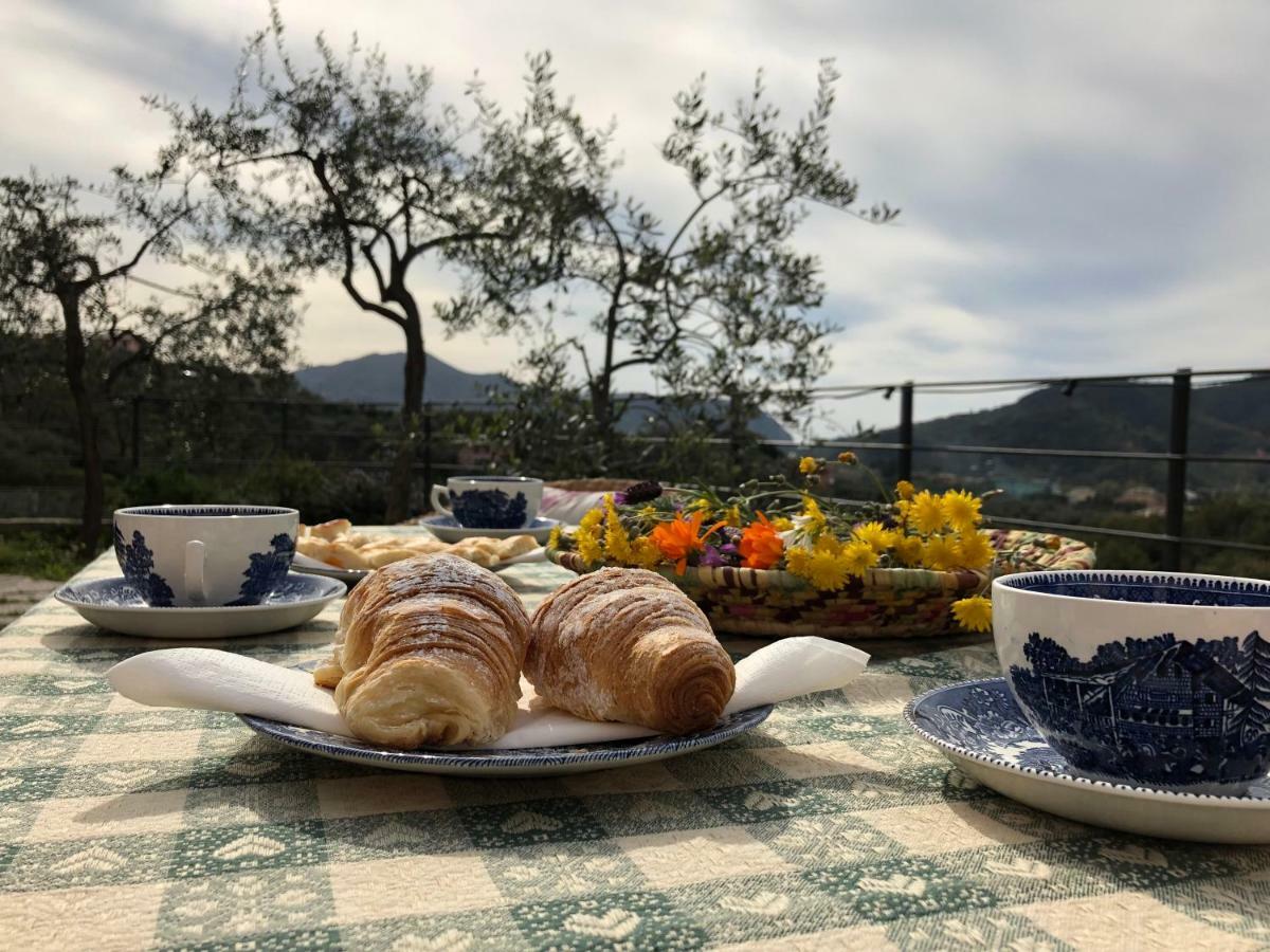 Villa Teca & Succo - Nature E Relax Sestri Levante Luaran gambar