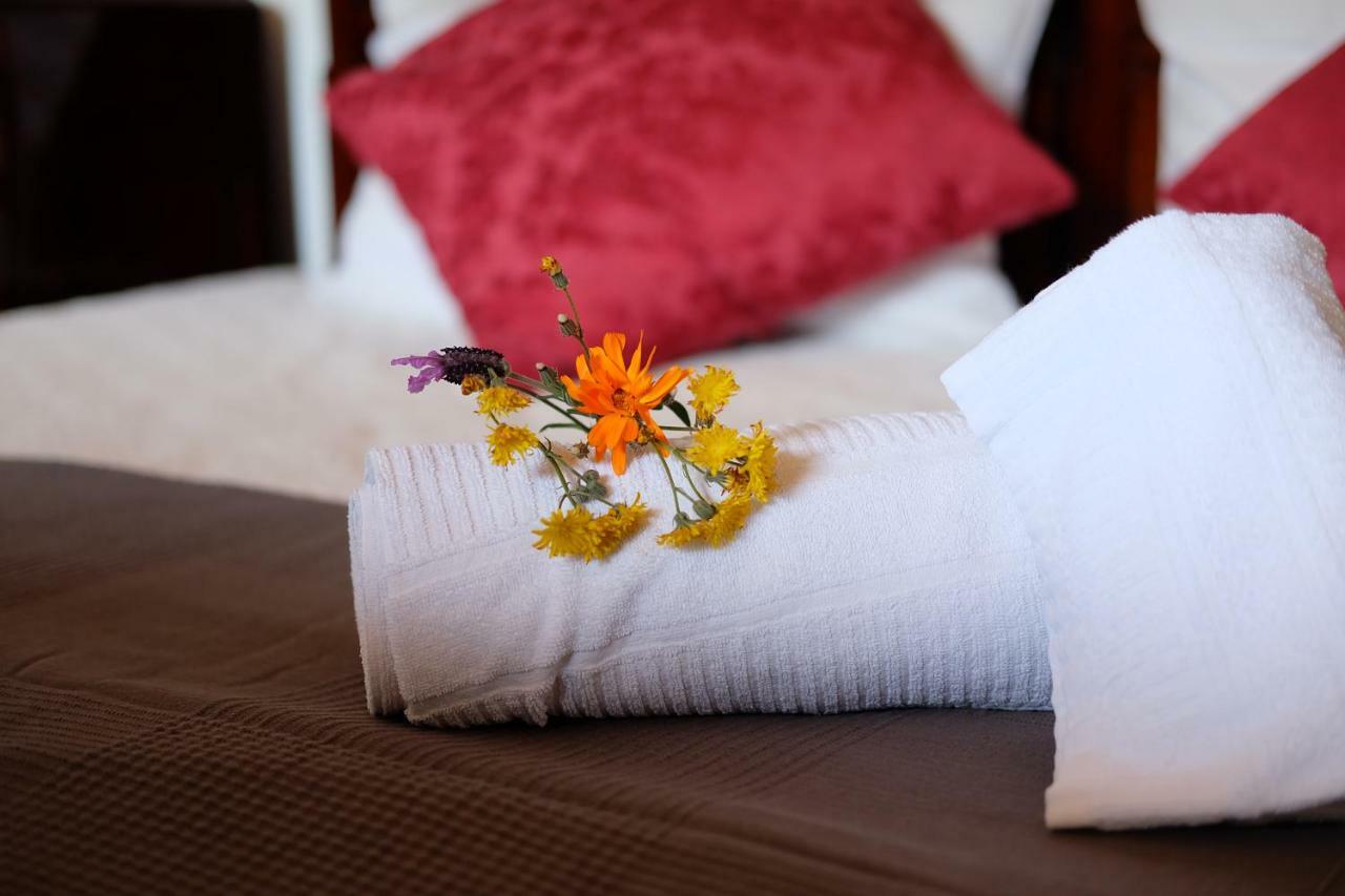 Villa Teca & Succo - Nature E Relax Sestri Levante Luaran gambar
